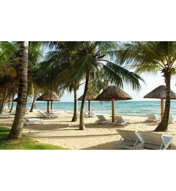 660$ за 10 дней на Фукуоке в декабре!